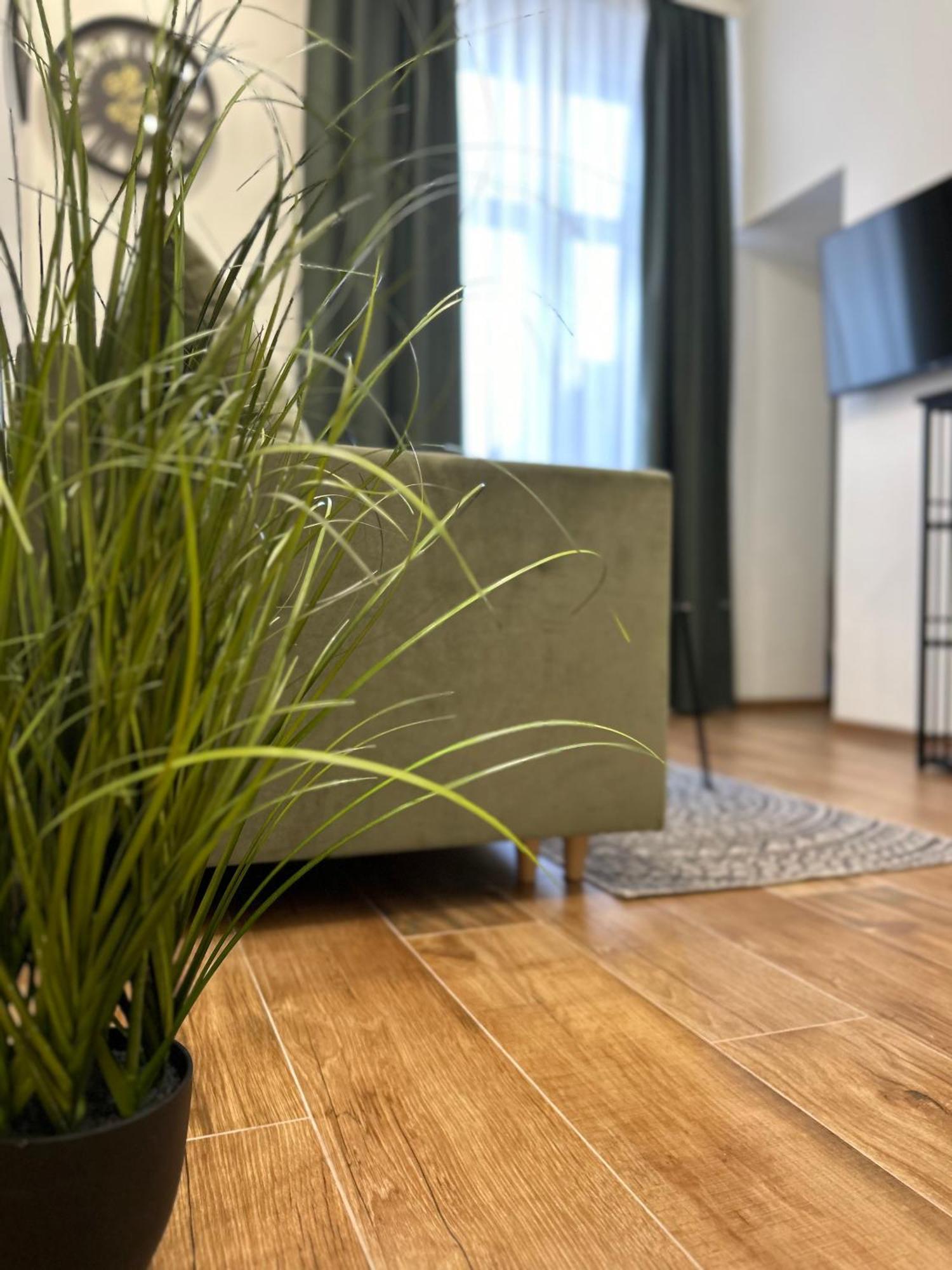 Apartament Krasinskiego 프르제미슬 외부 사진